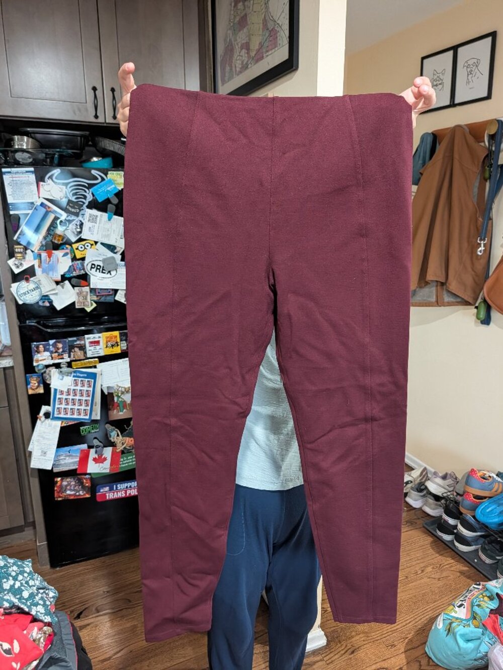 Liverpool Los Angeles Reese Pull-On Ankle Leggings Maroon LM2121M42 - US 14
